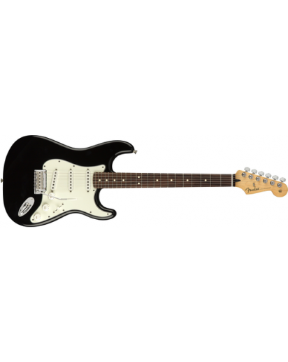 Fender® Player Stratocaster®, Pao Ferro Fingerboard, Black, No Bag
