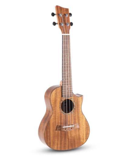 VGS Manoa Ukulele konsertti, Koa
