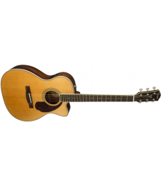 Fender® Paramount PM-3 Standard, Triple 0, Sis. kovan kotelon