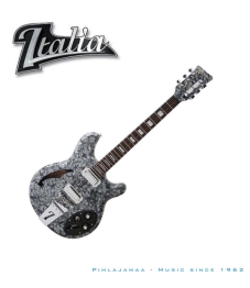 Italia Guitars, Rimini 6, Grey Pearloid