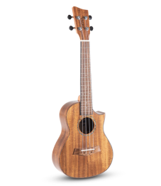 VGS Manoa Ukulele konsertti, Koa